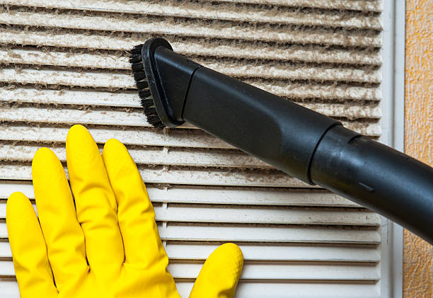 Best Residential Air Duct Cleaning  in Elkton, MD